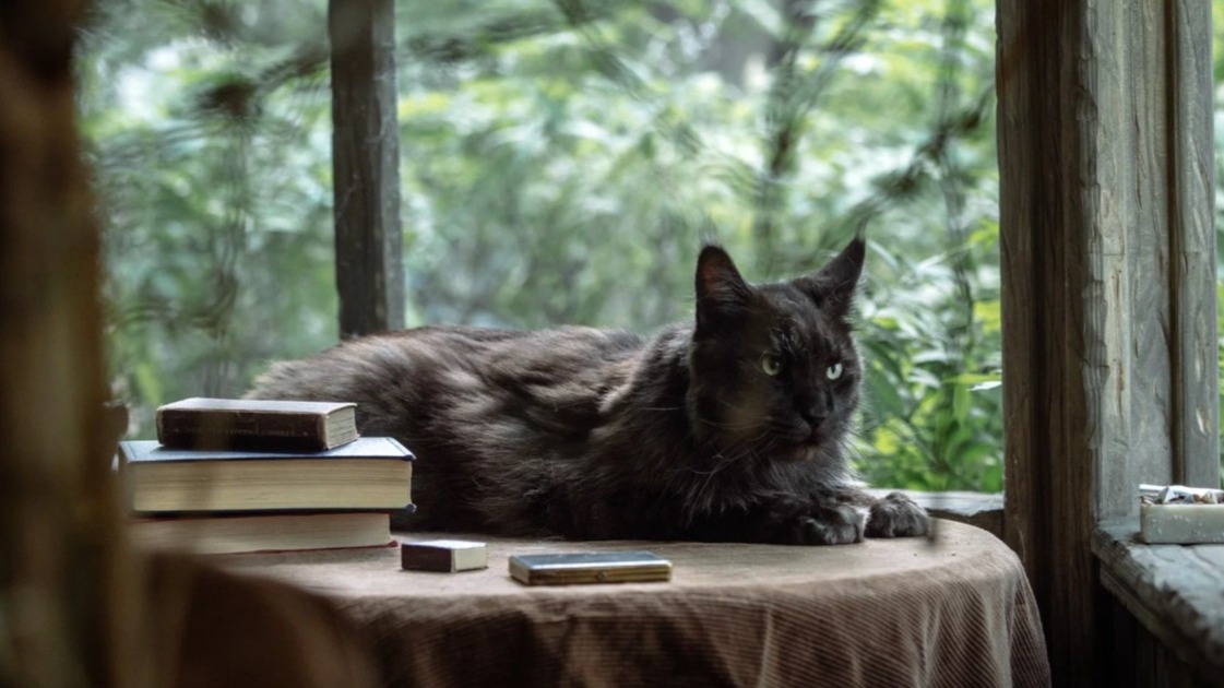 Режиссер «Мастера и Маргариты» признал гениальной игру кота Кеши в роли Бегемота