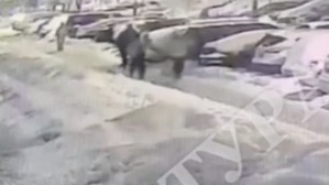 Появились подробности жестокого избиения подростка в Солнцеве