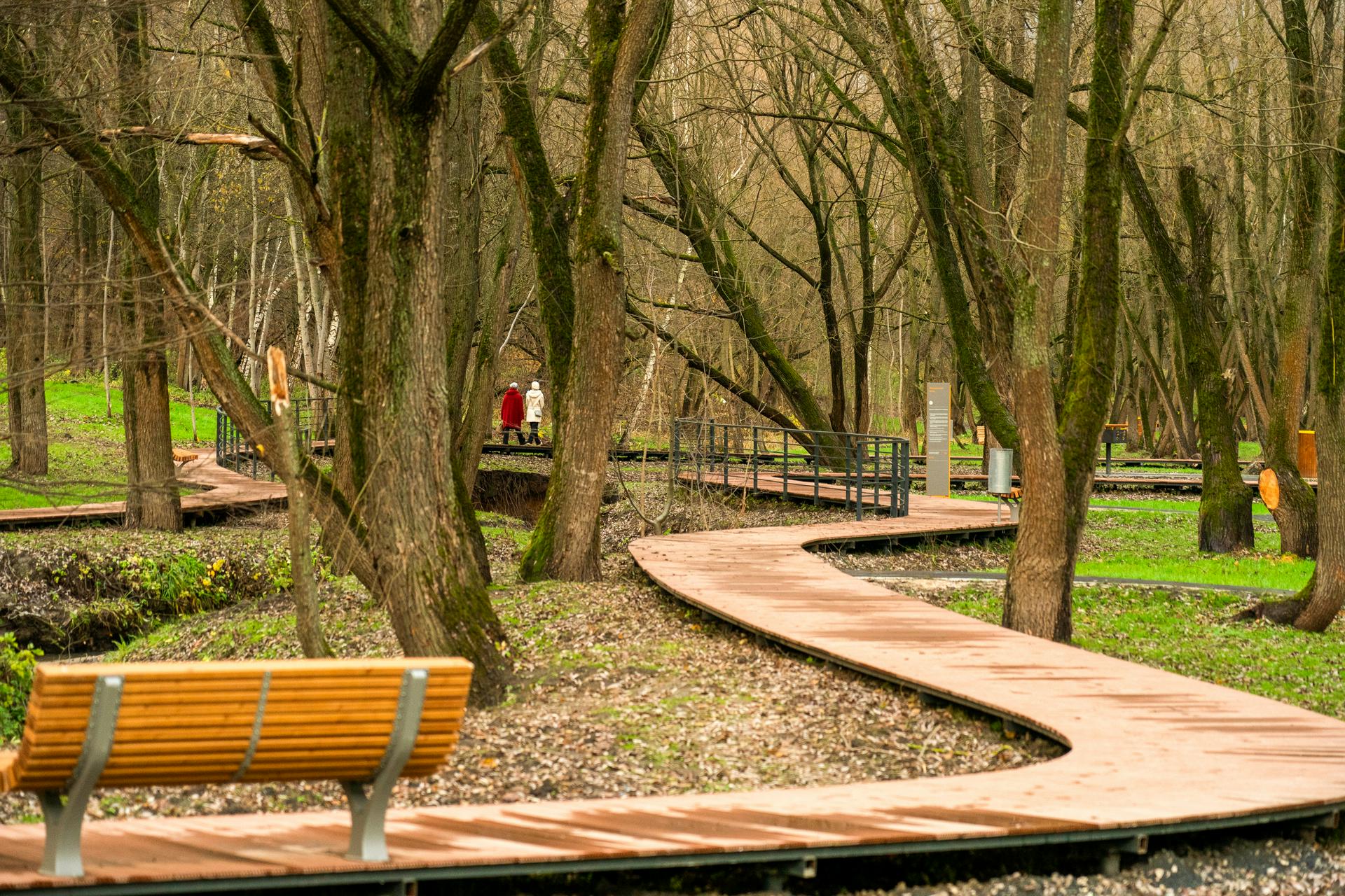 Экомаршруты появились в новом парке в поймах рек Шмелевки и Кузнецовки