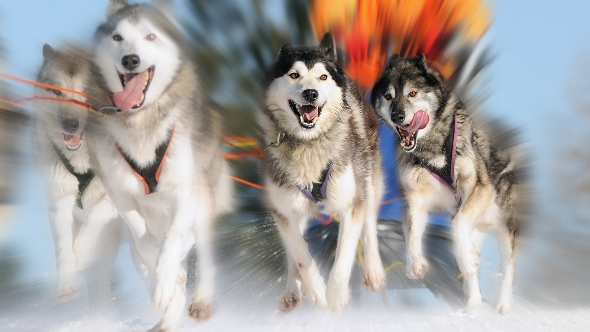 2 февраля: какой сегодня праздник отмечают