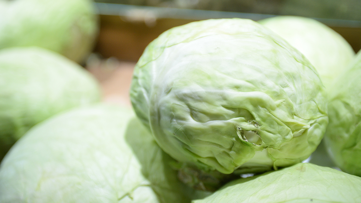 Фейковое видео о бесплатном сборе капусты в Якутске стало причиной массового воровства
