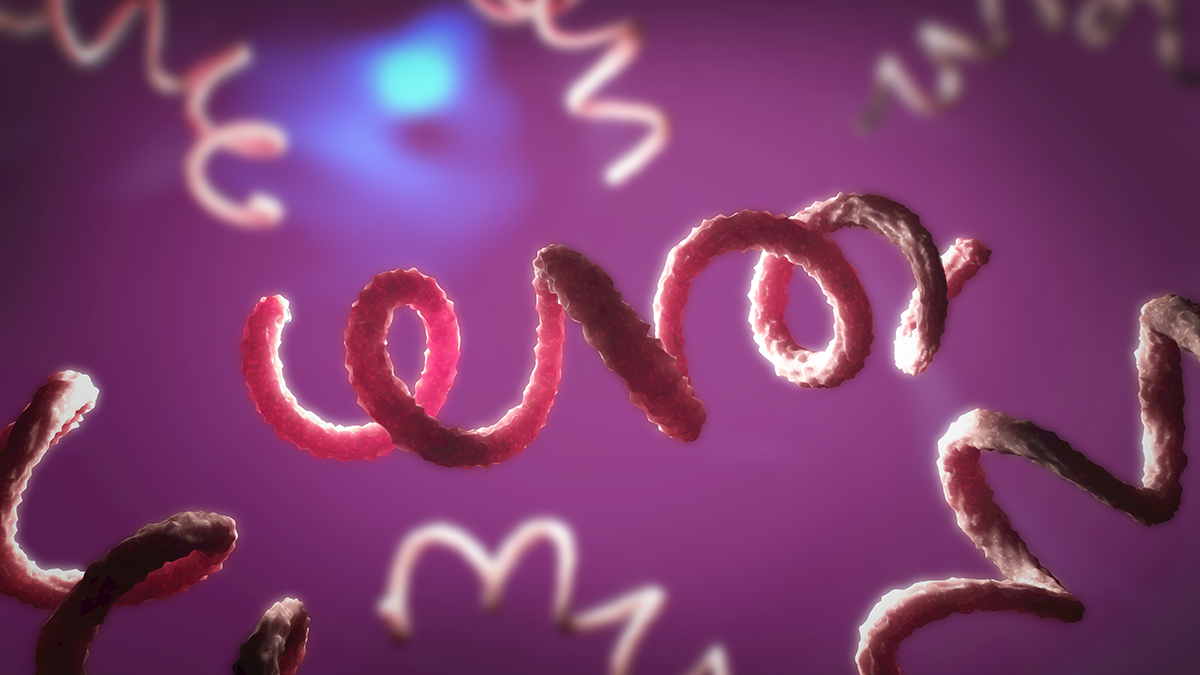 Что могло стать причиной заражения подростков из Тюмени сифилисом и гонореей