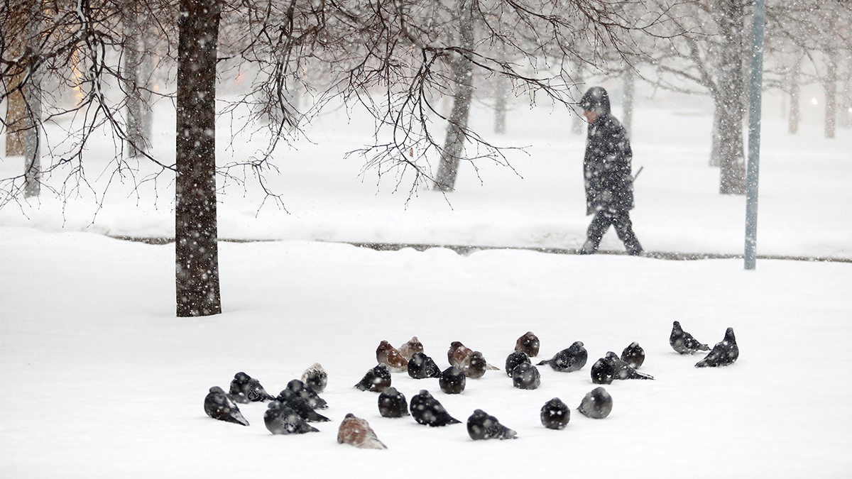 Когда в Москве закончится снегопад