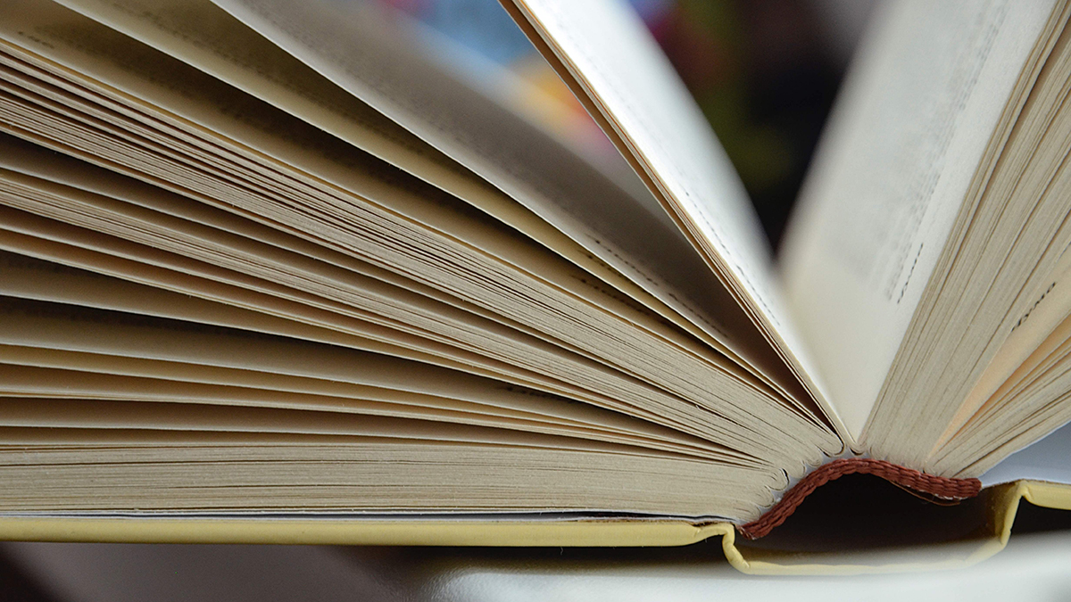 Посетители книжного магазина в Москве подрались из-за произведения