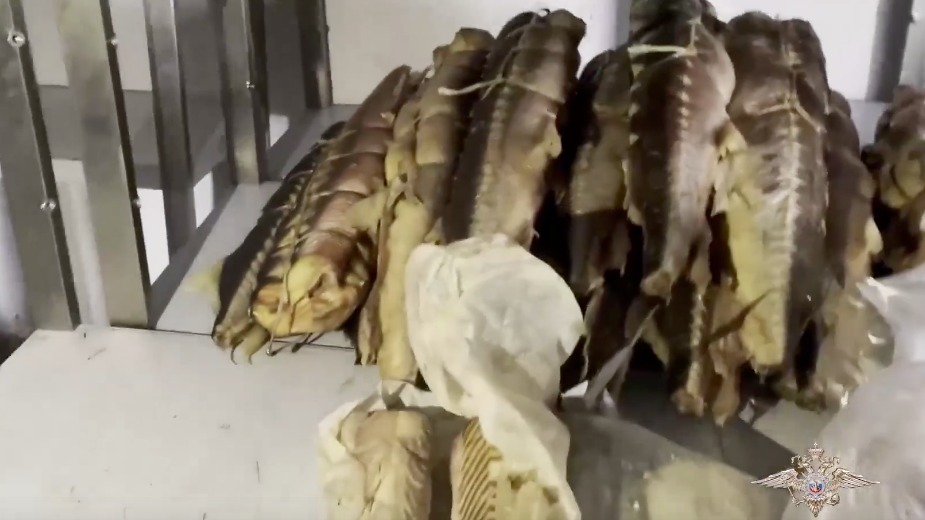 Полицейские обнаружили в Подмосковье нелегальный рыбный цех