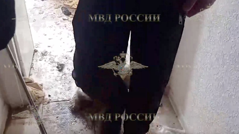 Появилось видео спасения спаниеля в Подмосковье