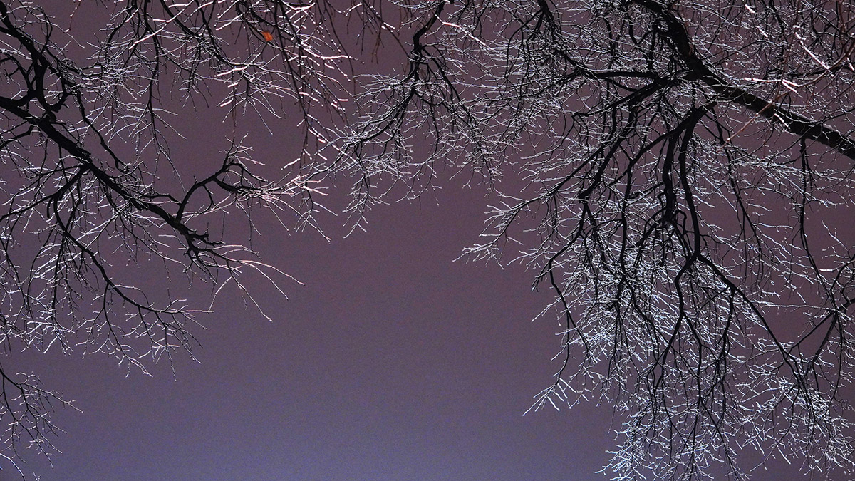 Синоптик Тишковец предупредил москвичей о снеге и ледяных дождях