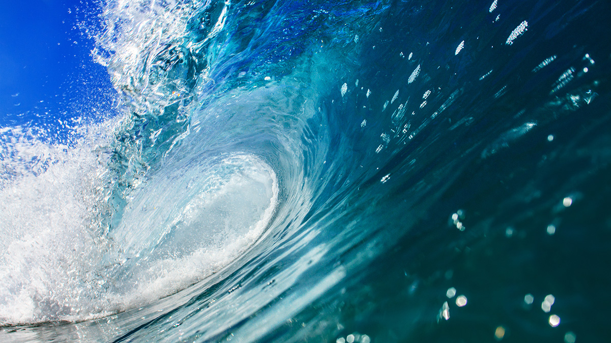 РАН: Высота цунами на Камчатке могла достигать 15 метров