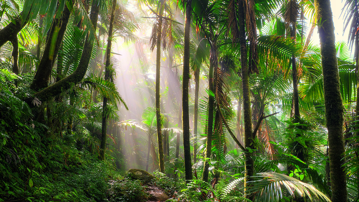 Там не ступала нога человека: названы самые загадочные места на Земле