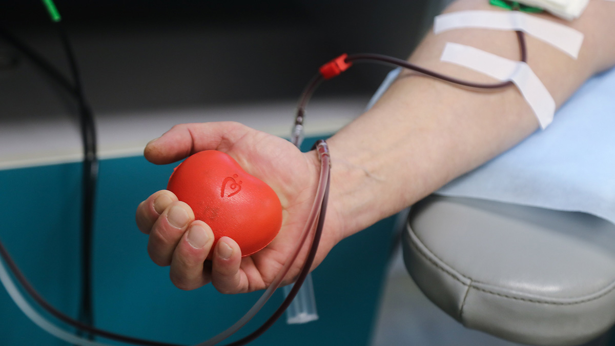 Сдавшие кровь для пострадавших в теракте смогут бесплатно ходить на матчи «Динамо»