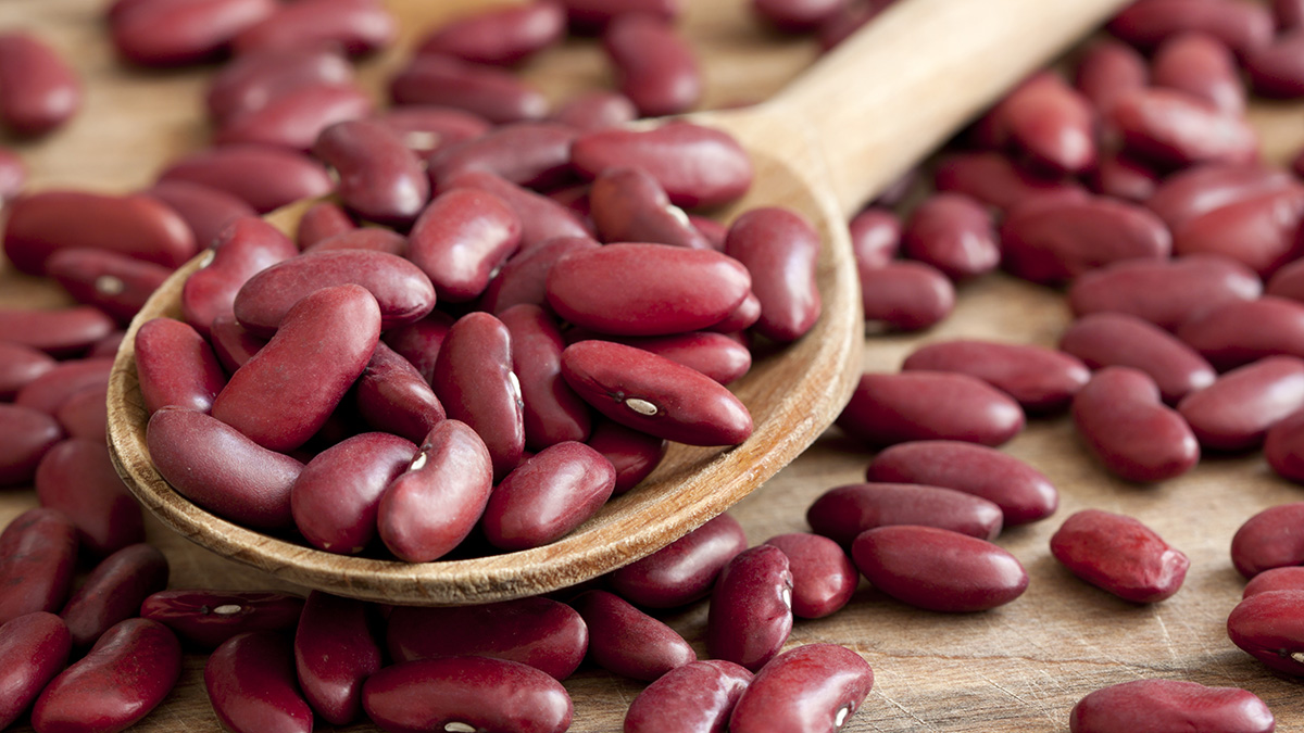 Эндокринолог Павлова рассказала, какие пищевые привычки могут продлить жизнь