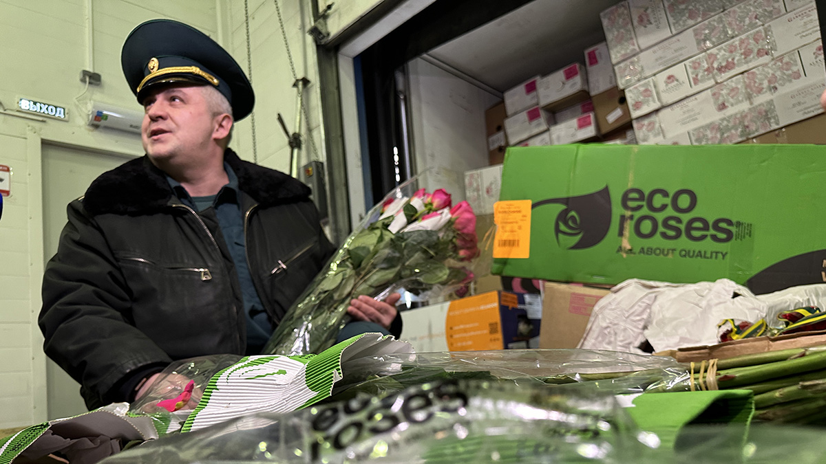 Цветов хватит на всех: таможенники успокоили россиян в канун 8 Марта