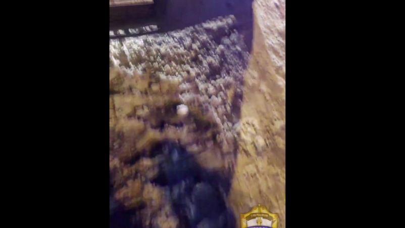 Водитель иномарки выбросил наркотики на глазах у полицейских на востоке столицы