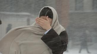 Синоптики предупредили о снегопаде в первую рабочую неделю в Москве и Подмосковье