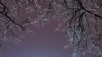 Синоптик Тишковец предупредил москвичей о снеге и ледяных дождях