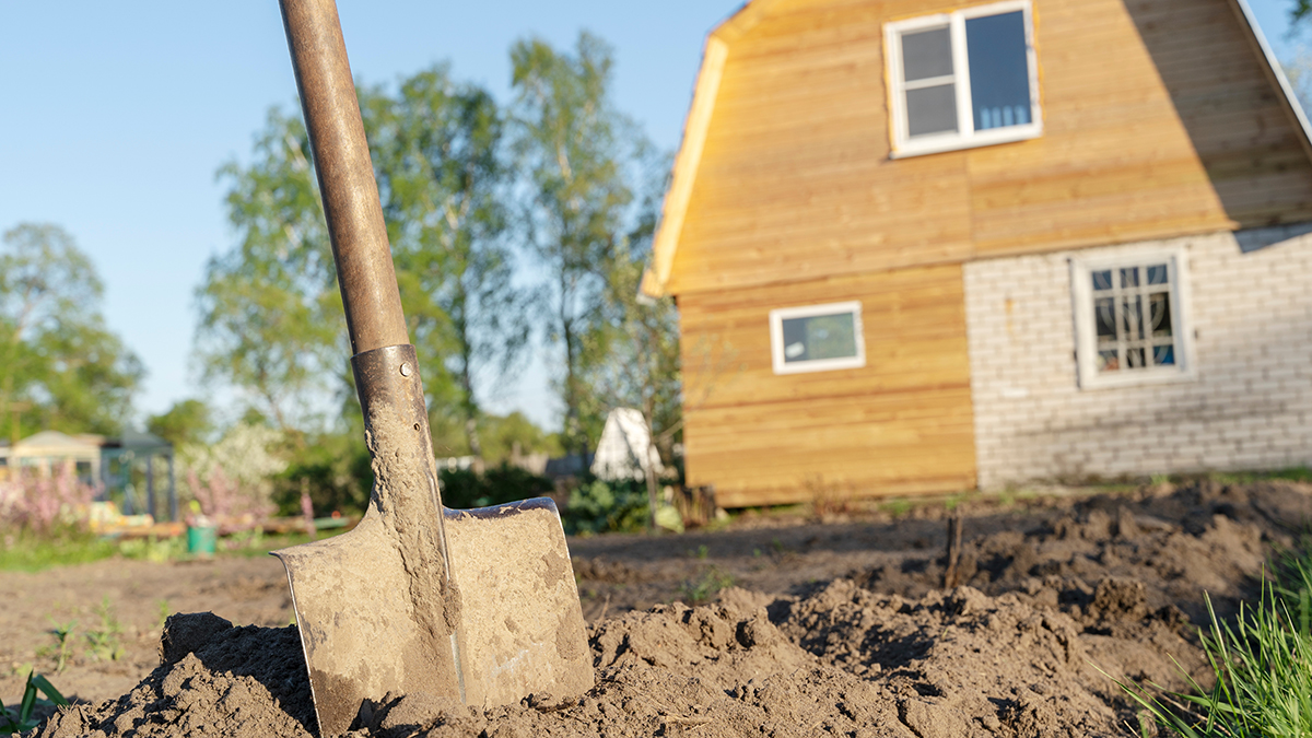 Женщина нашла обглоданное животными тело пропавшего пенсионера в Подмосковье - РЕН ТВ
