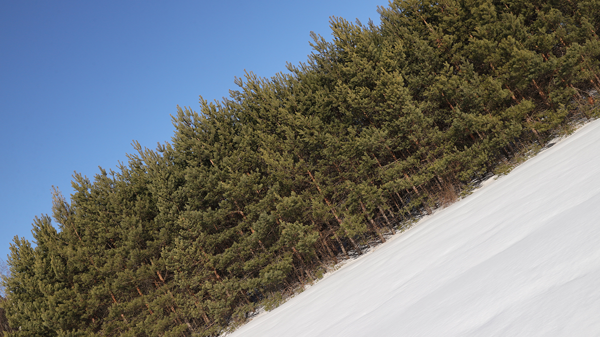 Shot: Мужчина исчез в 10 километрах от места пропажи семьи Усольцевых