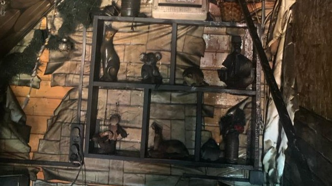 По факту гибели 9-летней девочки при пожаре в Раменском возбуждено уголовное дело