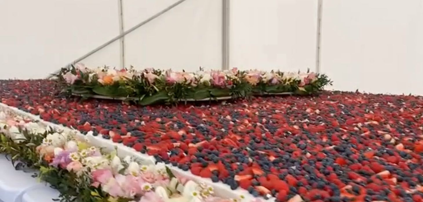 самая ягода в мире. скелетированный физалис. фрукт аки ядовитый. янгмей китайская земляника. личи тайланд.