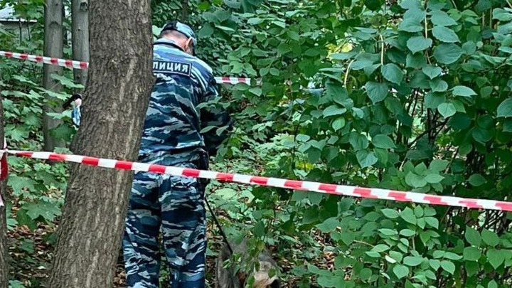 Злоумышленника, убившего чиновницу в Кунцеве, приговорили к 17 годам колонии