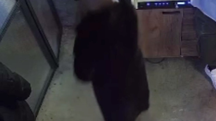 Посетительница кафе на Арбате похитила норковую шубу за 270 тысяч рублей