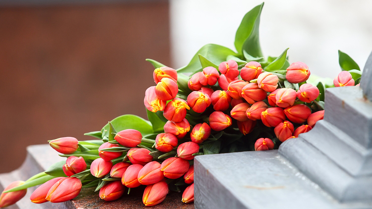 Сколько будут стоить цветы перед 8 Марта