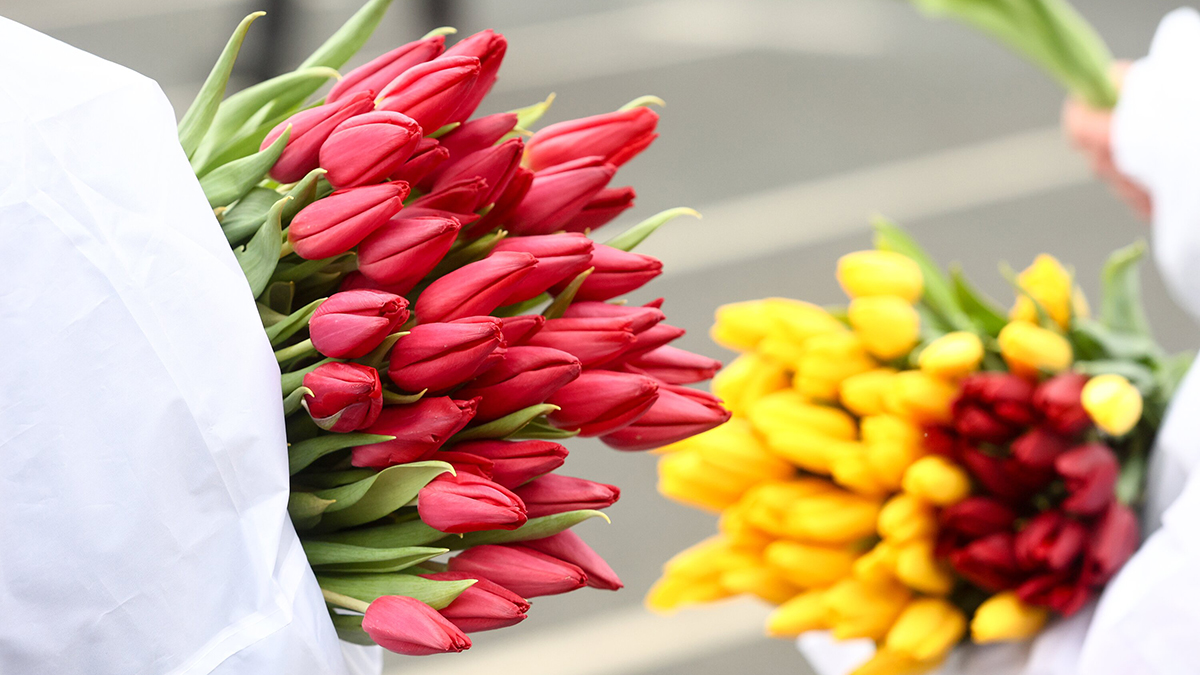 Что подарить на 8 Марта девушке, жене, коллеге