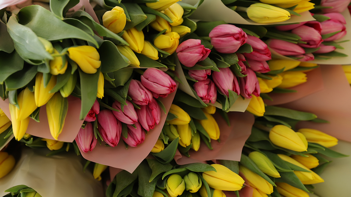 Будет ли 8 марта выходной: заявление Роструда