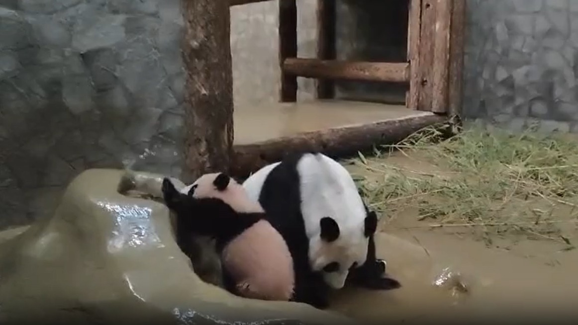 «Посетители ушли»: Диндин начала учить Катюшу плескаться в бассейне