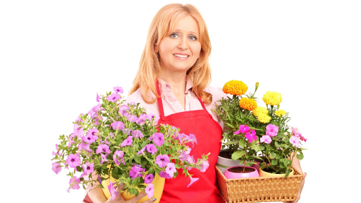 Посевная началась: какие сорта декоративных растений выбрать для сада