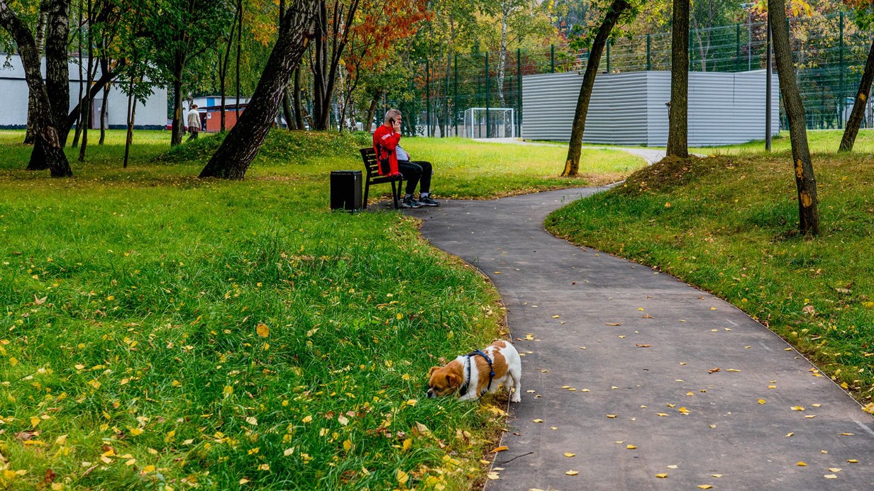 Пространство «Вишневый сад» обустроили в пойме реки Жужи