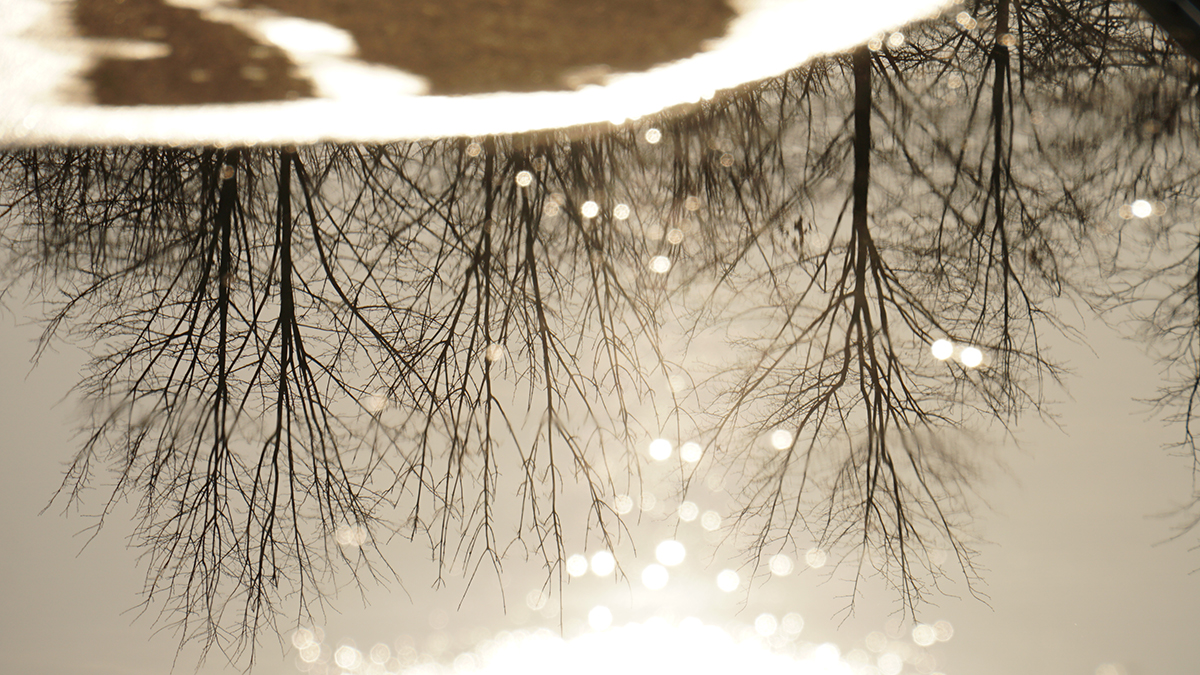 Погода в Москве в начале марта