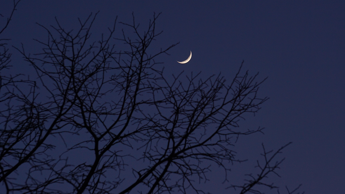 Что можно и нельзя делать в 24-е лунные сутки