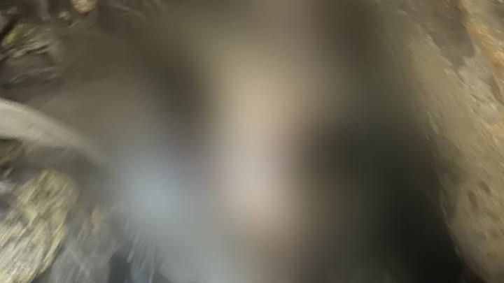 Появились подробности обнаружения тел младенцев в Новой Москве