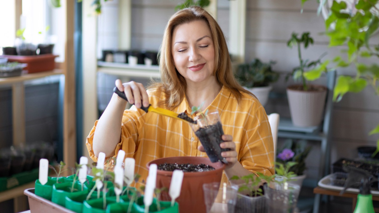 До конца марта еще есть время посадить семена томатов