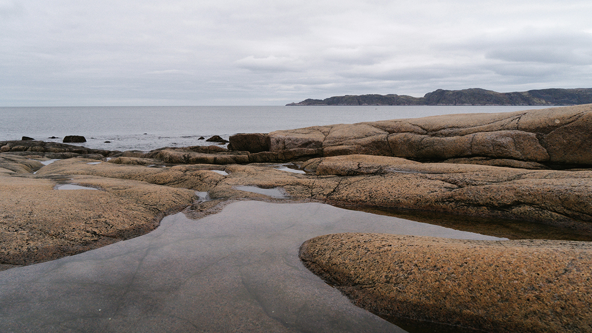 Китайским туристам пришлось ночевать в автобусе в Териберке из-за снегопадов