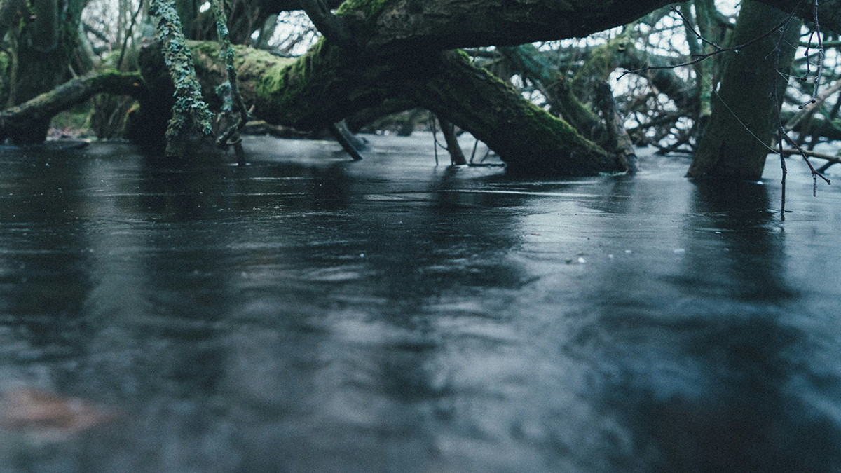 «Человечеству надо готовиться»: станет ли 2025-й годом серьезных природных катастроф