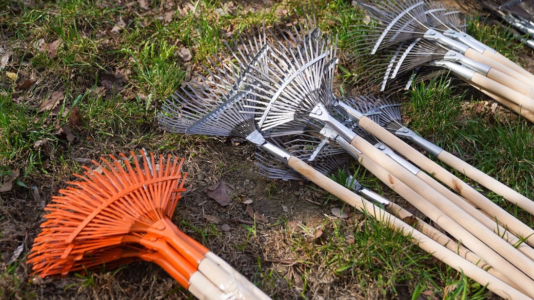 Москвичам рассказали о подготовке парков к летнему сезону 