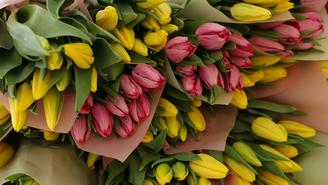 Цены на букеты к 8 Марта предложили ограничить в России