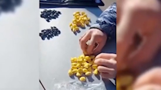 Сотрудники Росгвардии задержали наркосбытчицу на востоке столицы