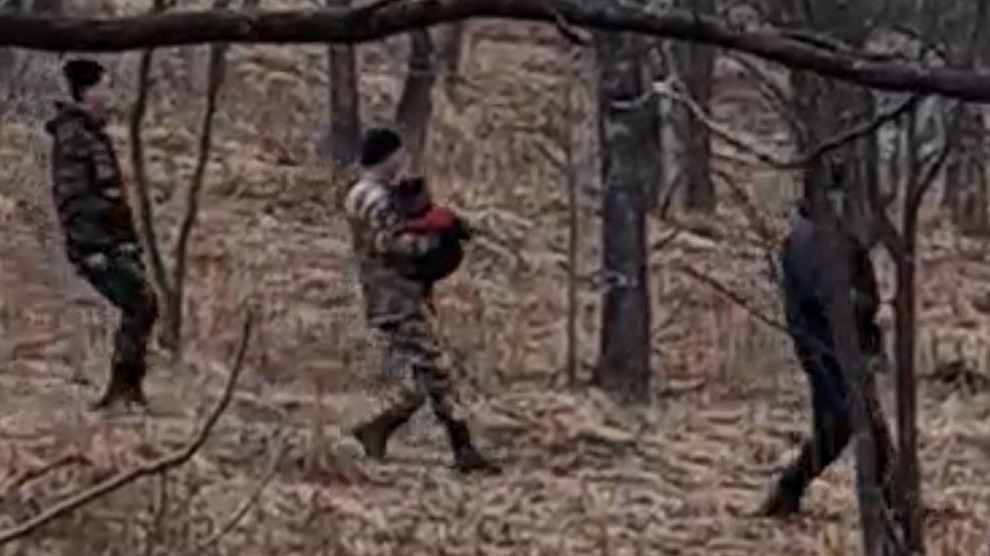 Щенок всю ночь грел заблудившегося в лесу ребенка в Приморье 