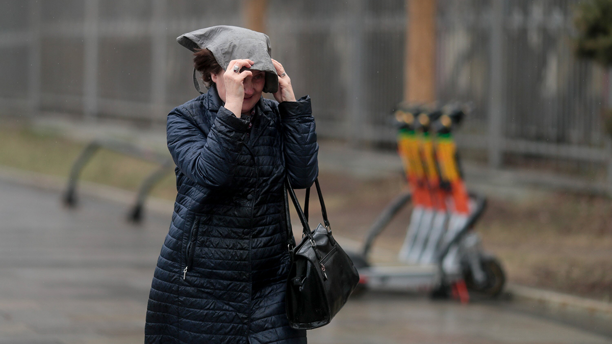 На Санкт-Петербург и Ленинградскую область обрушился ураган
