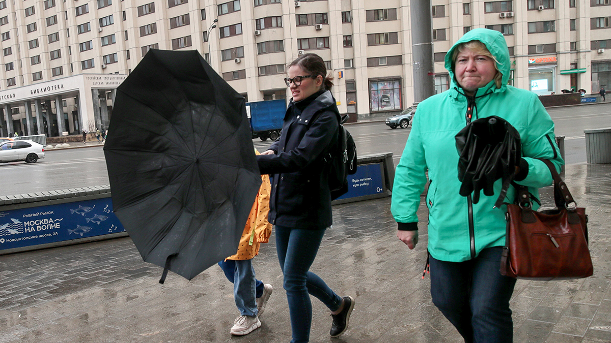 Столичные коммунальщики начали оперативный вывоз поваленных ветром деревьев