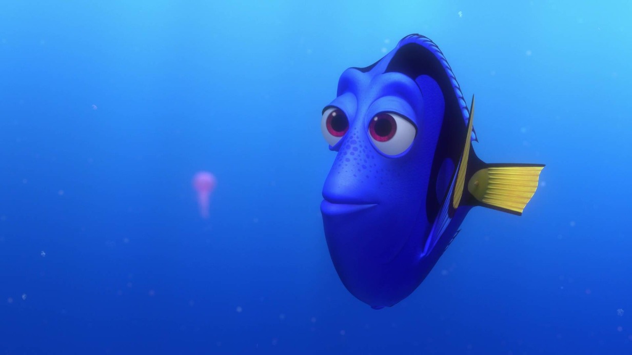 «Серьезные порезы»: Московский зоопарк рассказал о «скальпелях» у рыбы-хирурга