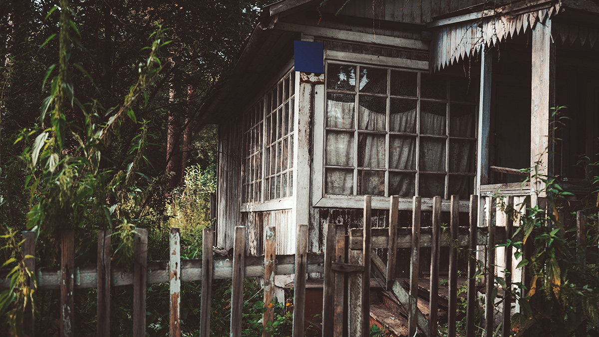 Как будет работать закон об изъятии заброшенных дачных участков 