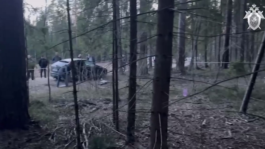 Появились кадры с места нападения на полицейских в Подмосковье