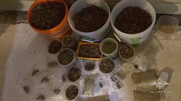 Москвич выращивал на даче марихуану