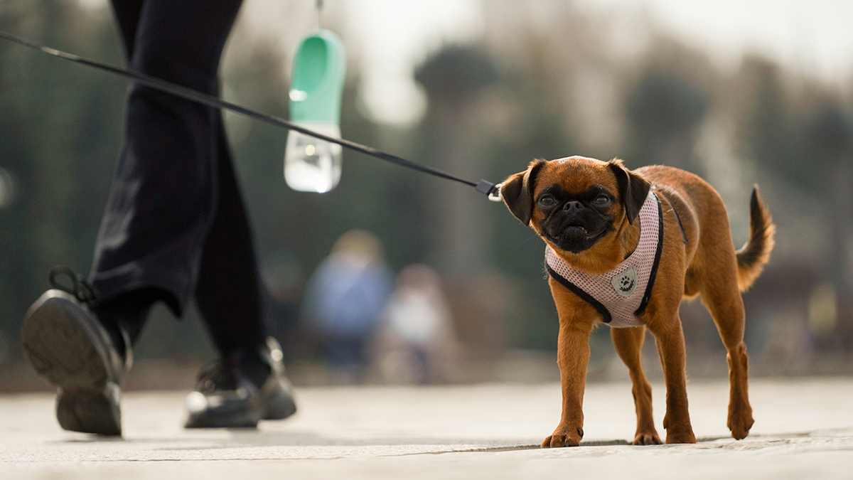 Перестроится на летний лад: синоптик Ильин рассказал, когда в Москву вернется тепло