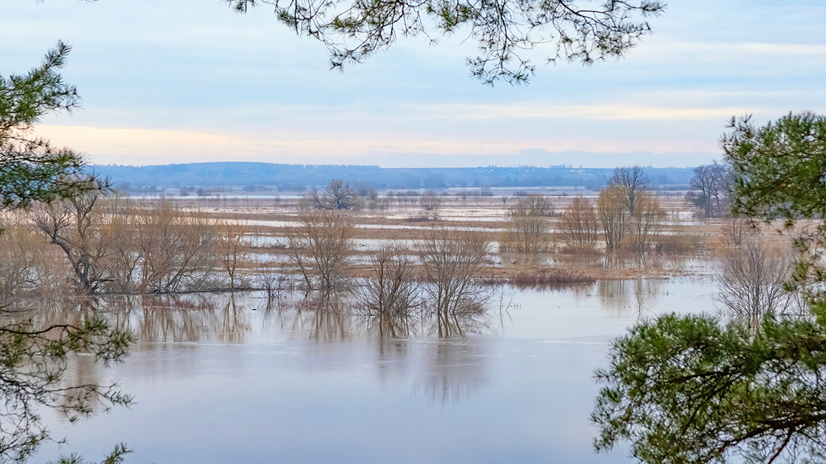 Роскосмос показал кадры последствий паводка в Оренбургской области
