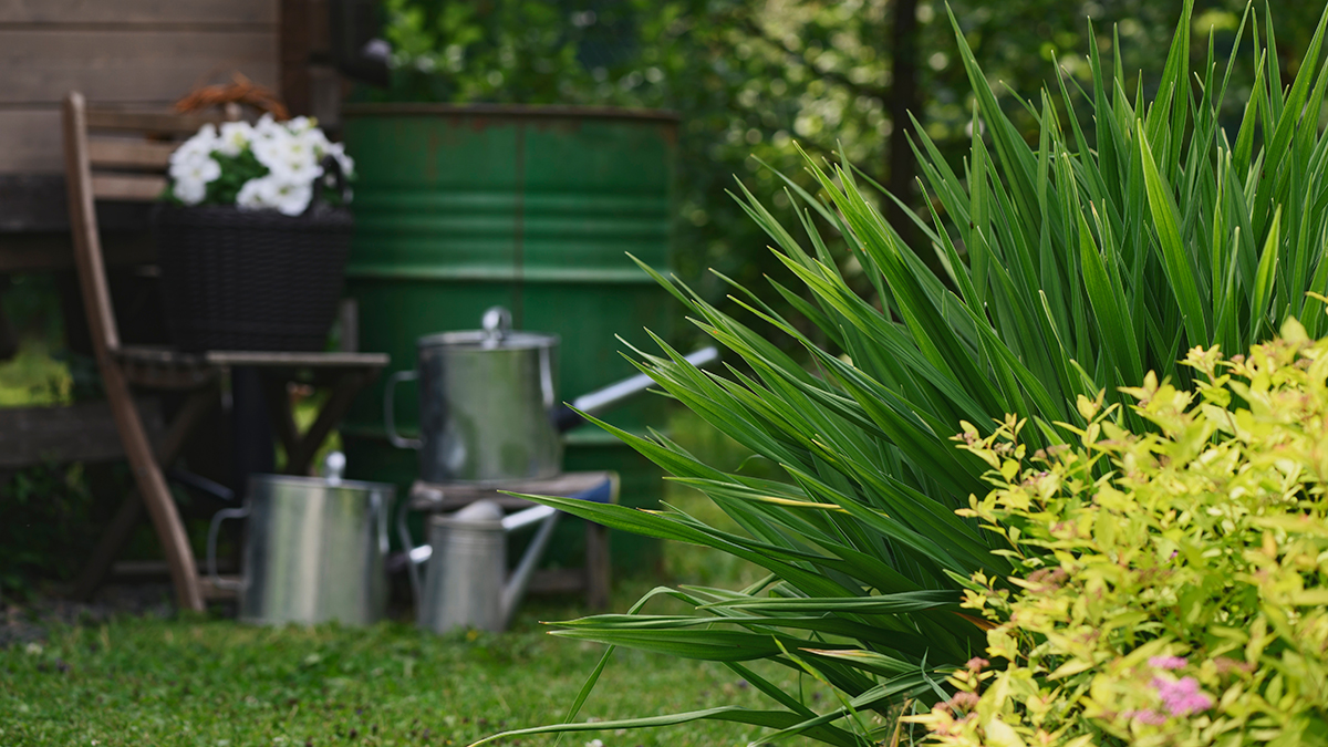 Врачи рассказали, что должно быть в дачной аптечке